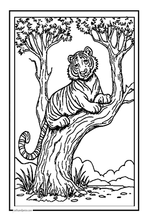 Tiger In Tree